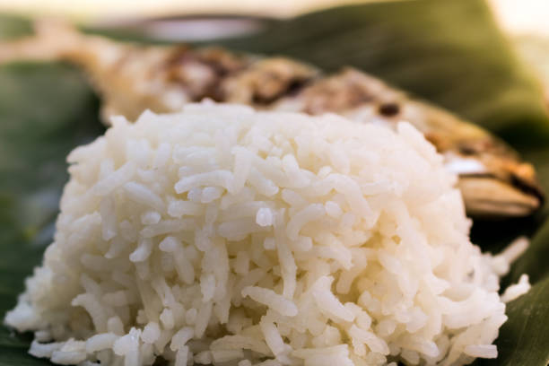 istock Jasmine rice top up on banana leaf with grill fish 905110038