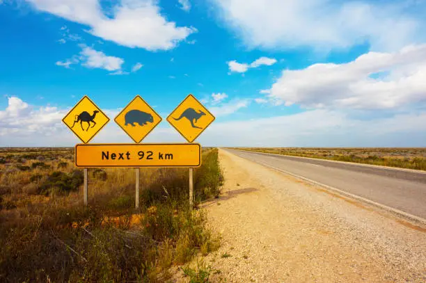 A wildlife warning road sign in the Nullarbor Plain, Australia