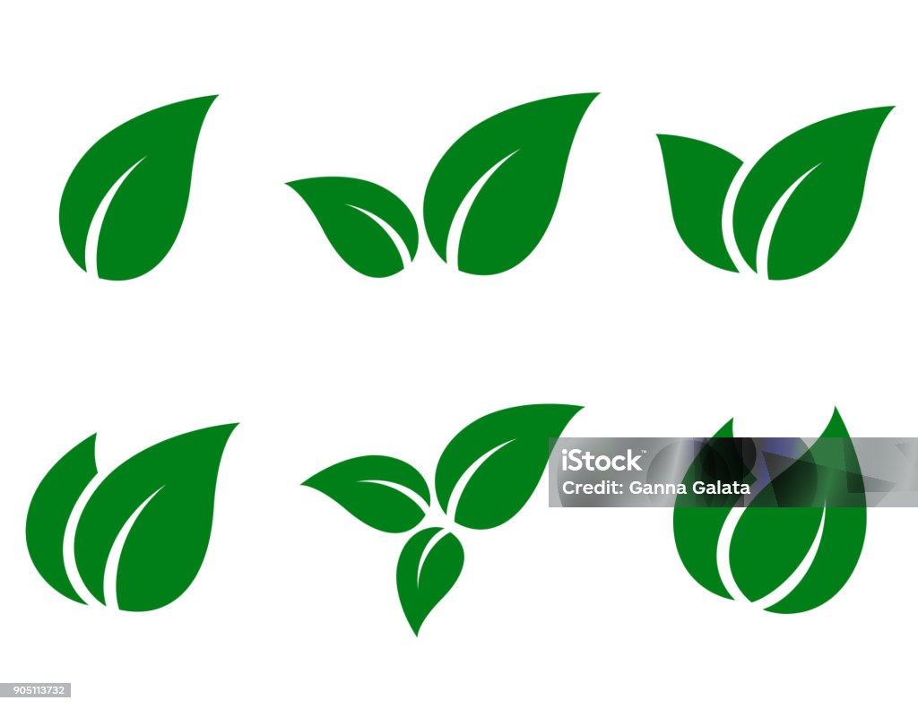 green leaves icon set eco green leaf icon set on white background Icon Symbol stock vector