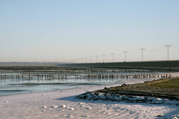 parque nacional do mar de wadden dinamarquês - wadden wadden sea unesco world heritage site sea - fotografias e filmes do acervo