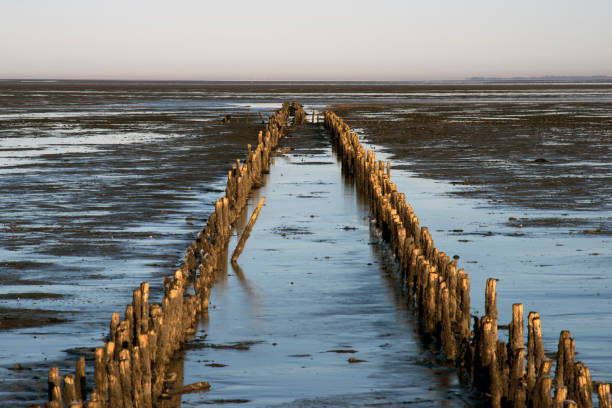 parque nacional do mar de wadden dinamarquês - wadden wadden sea unesco world heritage site sea - fotografias e filmes do acervo