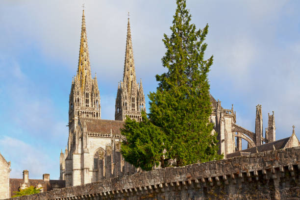 istock Cathedral of Saint Corentin of Quimper 905124946