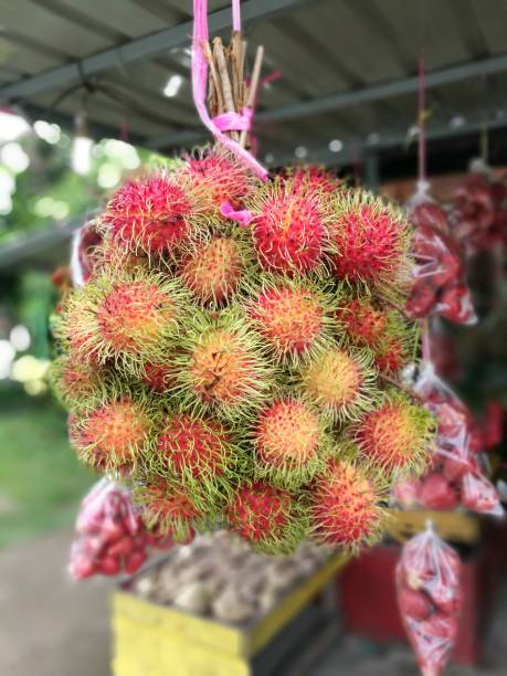 Rambutan fruits stock photo