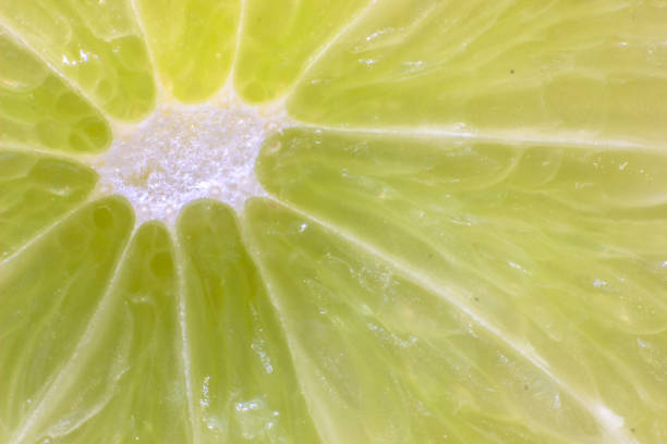 istock a slice of lime very close up - macro 905126396