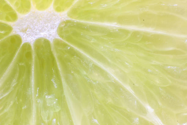 istock a slice of lime very close up - macro 905126614