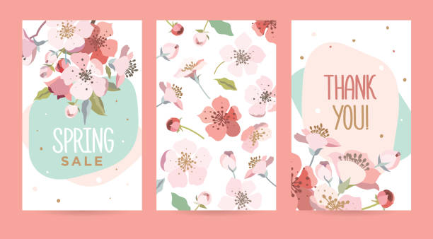 벚꽃이 개화와 함께 낭만적인 카드의 세트입니다. - flower blooming spring temperate flower stock illustrations