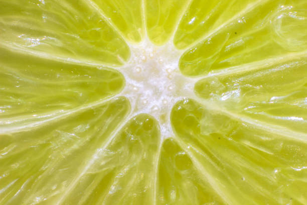 istock a slice of lime very close up - macro 905126746