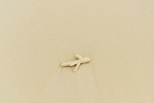 Christmas greeting card with glitter star decoration on beach in wave with sea background. New Year travel holidays concept, nobody. Copy space with crooked horizon line