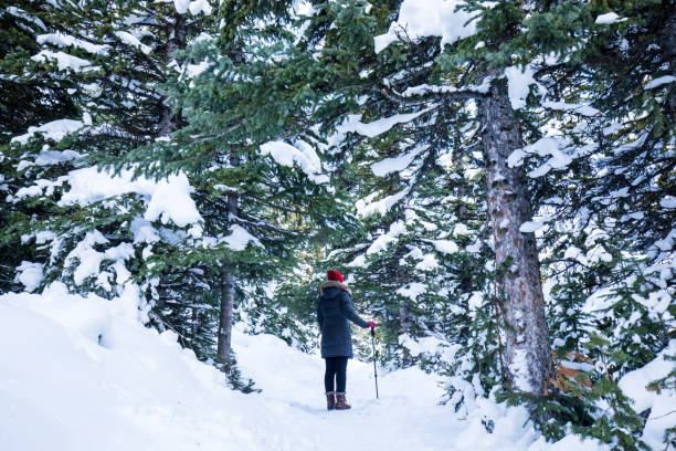 istock Rear View Of People On Snow Covered Landscape 905147620