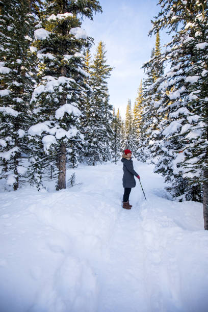istock Rear View Of People On Snow Covered Landscape 905147672