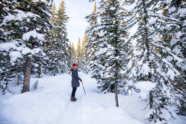 istock Rear View Of People On Snow Covered Landscape 905147718