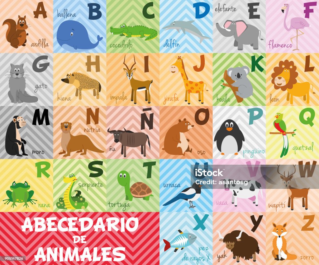 Cute Cartoon Zoo Illustrated Alphabet With Funny Animals Spanish Alphabet  Learn To Read Isolated Vector Illustration Stock Illustration - Download  Image Now - iStock