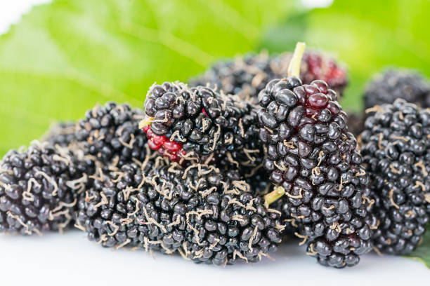 istock Close up mulberry fruit with green leaf 905154962