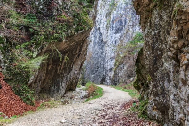 istock Winding road through the gorge in spring, Romania. 905163242