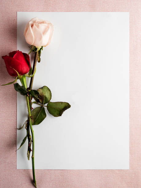 istock rose,valentine’day,paper,page 905164138