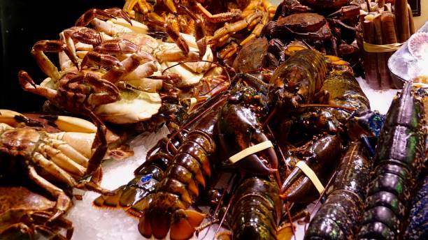 istock Fresh catch of the day 905164526