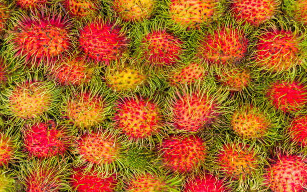istock Fresh rambutan sweet delicious. 905164558