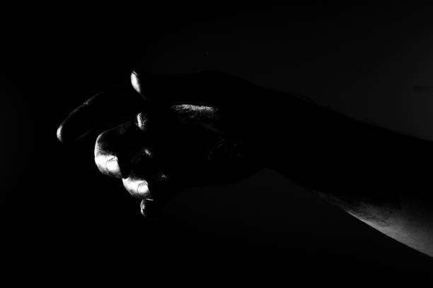 luxury female hands on white background posing close up, monochrome