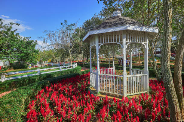 istock White pavilion in colorful flower garden 905173192