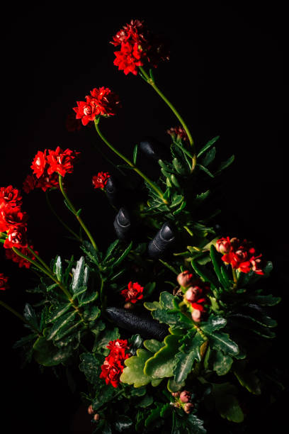 Black hand holding colorful spring flowers