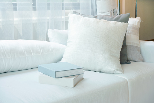 White pillows and books setting on white sofa in modern living room