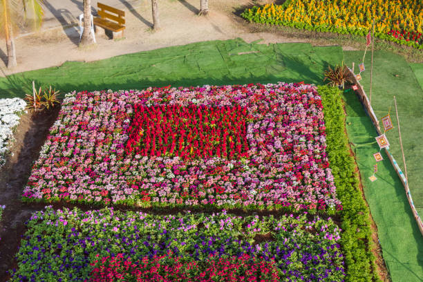 istock Colorful botanical garden make square shapes in public park 905197496