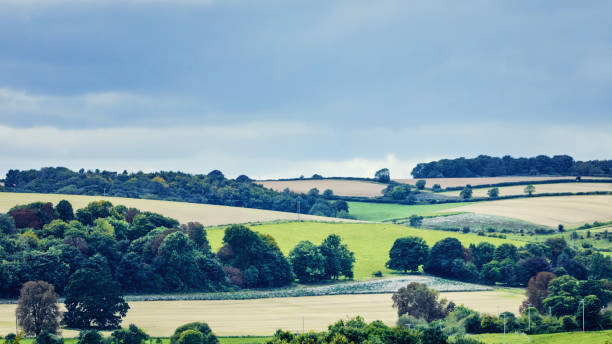 istock Idyllic rural, aerial view, Cotswolds UK 905204060