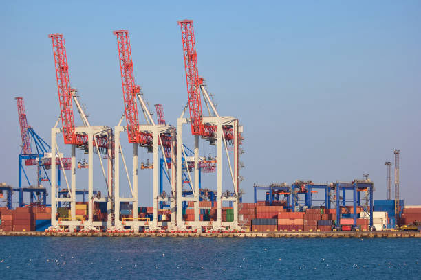 istock Cranes and containers in sea port. 905205478