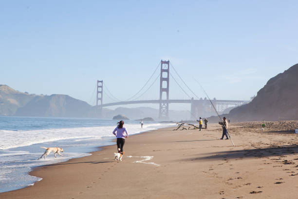 pessoas correndo e pesca na praia de padeiro próximo a ponte golden gate. - baker beach - fotografias e filmes do acervo