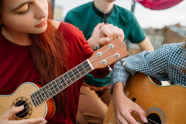istock guitar ukulele string instrument music culture art 905209176