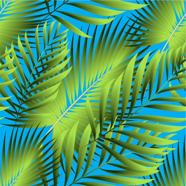 istock Pattern of tropical palm, leaves of the jungle. Vector floral pattern. 905212916