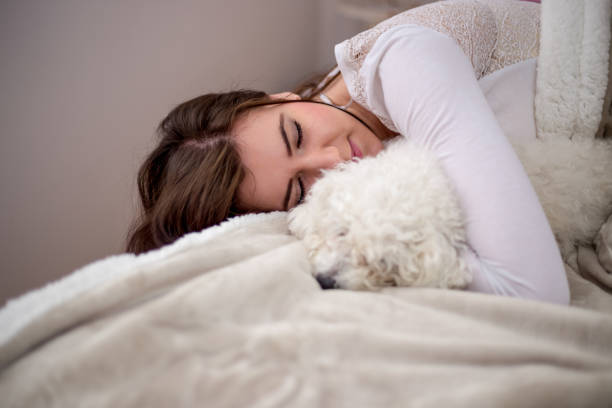 istock Young woman with her dog in a bed. 905213566