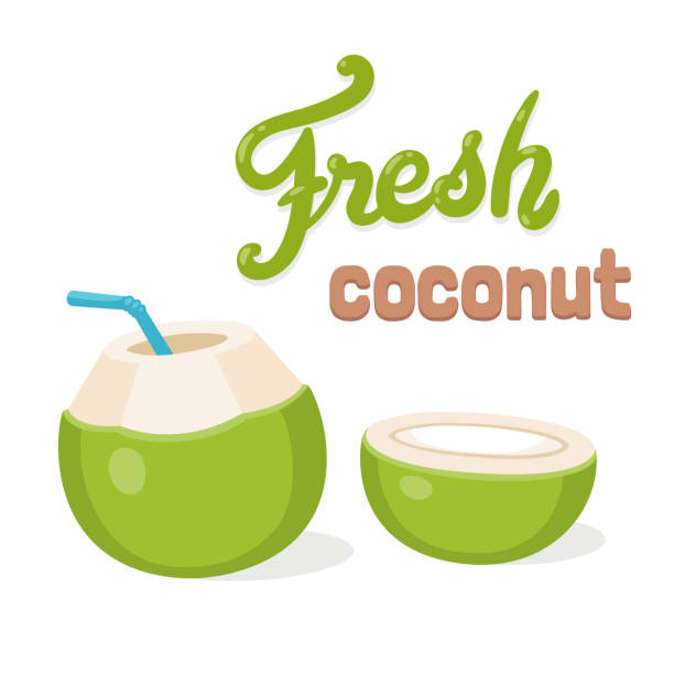 Fresh Coconut Water Drink Stock Illustration - Download Image Now - Coconut,  Green Color, Coconut Water - iStock