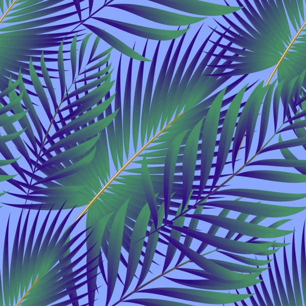 istock Pattern of tropical palm, leaves of the jungle. Vector floral pattern. 905217338