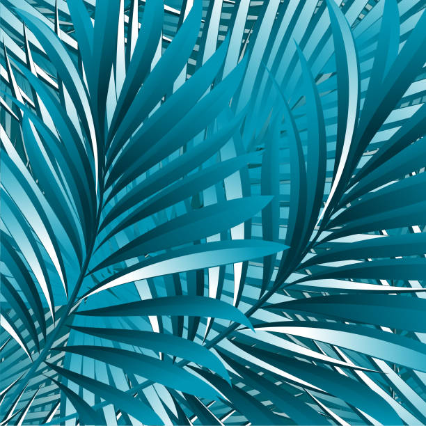 istock Pattern of tropical palm, leaves of the jungle. Vector floral pattern. 905218172