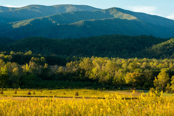 istock Cades Cove, GSMNP 905220324