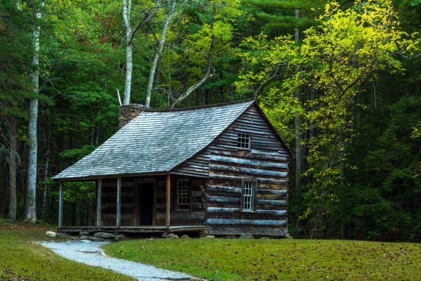 istock Carter Shields Cabin, Cades Cove 905220576