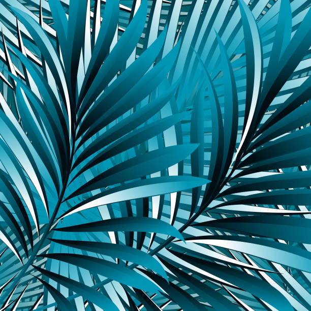 istock Pattern of tropical palm, leaves of the jungle. Vector floral pattern. 905220652
