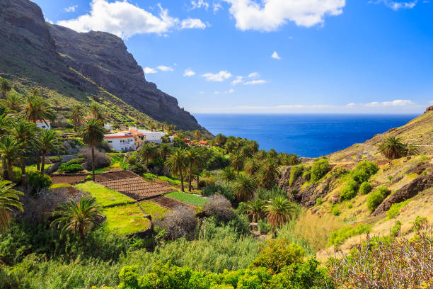 Photo of Canary style villa palm tree, La Gomera, Canary Islands