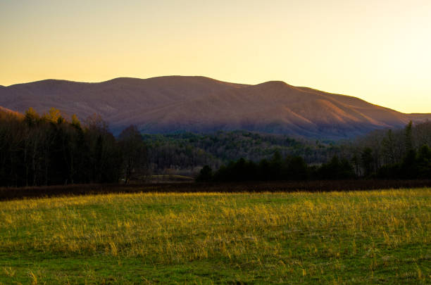 istock Sunset at Cades Cove 905221304