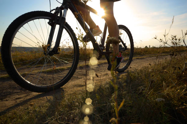 istock Male cyclist driving by rural dirt road outdoors. Low angle view 905221700