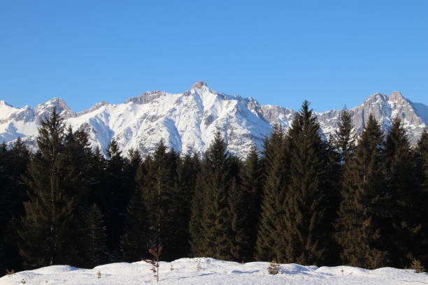 동안에 겨울, 필드, 티 롤, 오스트리아 wetterstein 산 - gehrenspitze 뉴스 사진 이미지