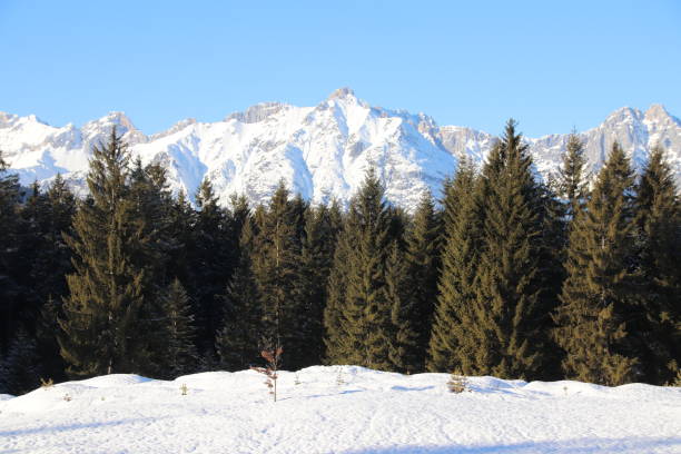 동안에 겨울, 필드, 티 롤, 오스트리아 wetterstein 산 - gehrenspitze 뉴스 사진 이미지