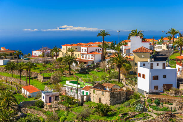 Colourful houses in Alajero mountain village on coast of tropical La Gomera island, Spain Colourful houses in Alajero mountain village on coast of tropical La Gomera island, Spain chrysobalanaceae stock pictures, royalty-free photos & images