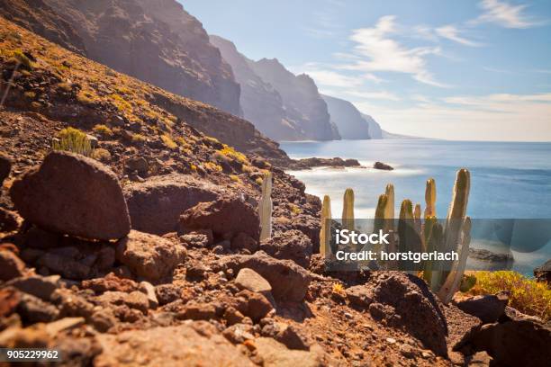 Punta De Teno Tenerife Spanien Stock Photo - Download Image Now - Atlantic Islands, Atlantic Ocean, Cactus