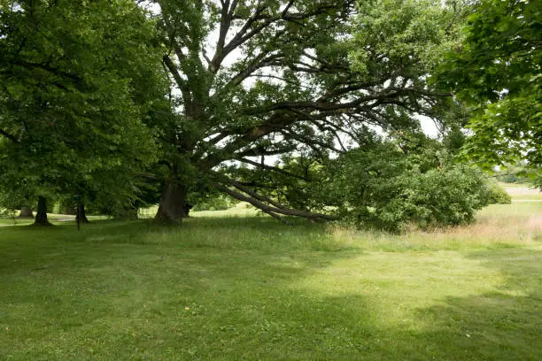 Beautiful greenspace in Helsinki, capital of Finland.