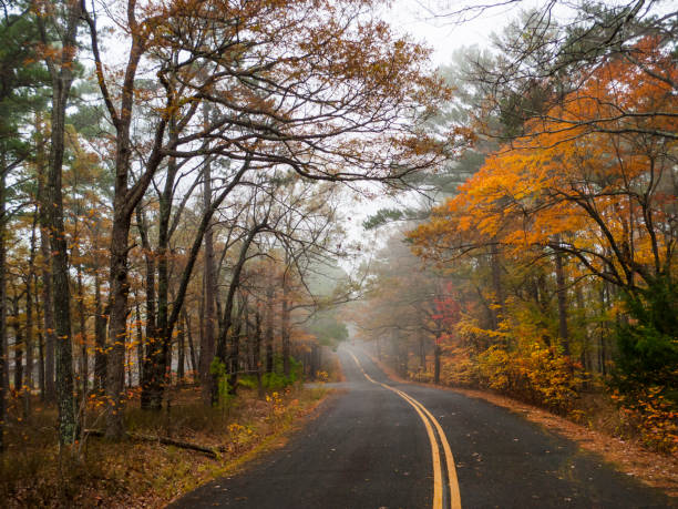 istock Scenic drive in autumn 905230280
