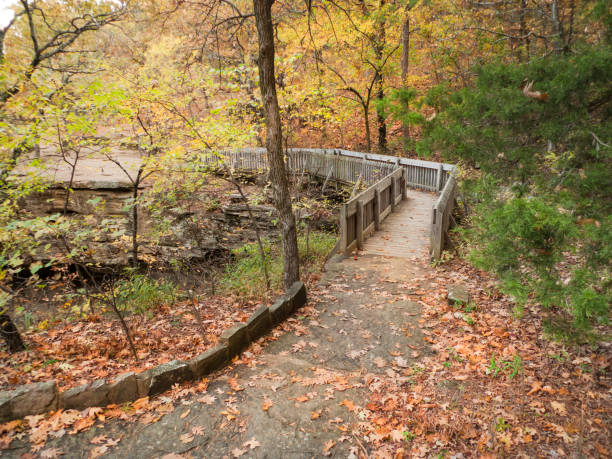 istock Wooden bridge and stone pathway in an autumn forest 905230556
