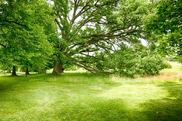 Beautiful greenspace in Helsinki, capital of Finland.