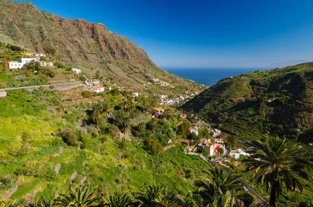 istock Palm tree mountain valley, Hermigua, La Gomera, Canary Islands 905233874